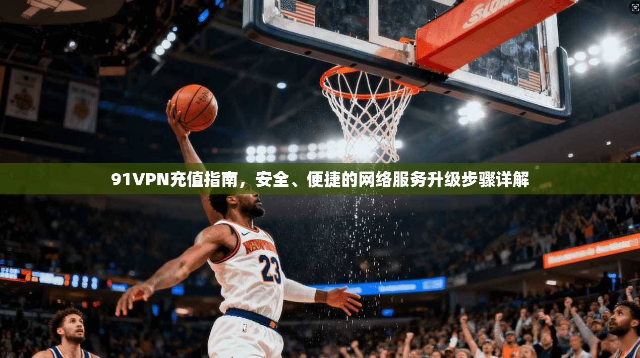 91VPN充值指南，安全、便捷的网络服务升级步骤详解