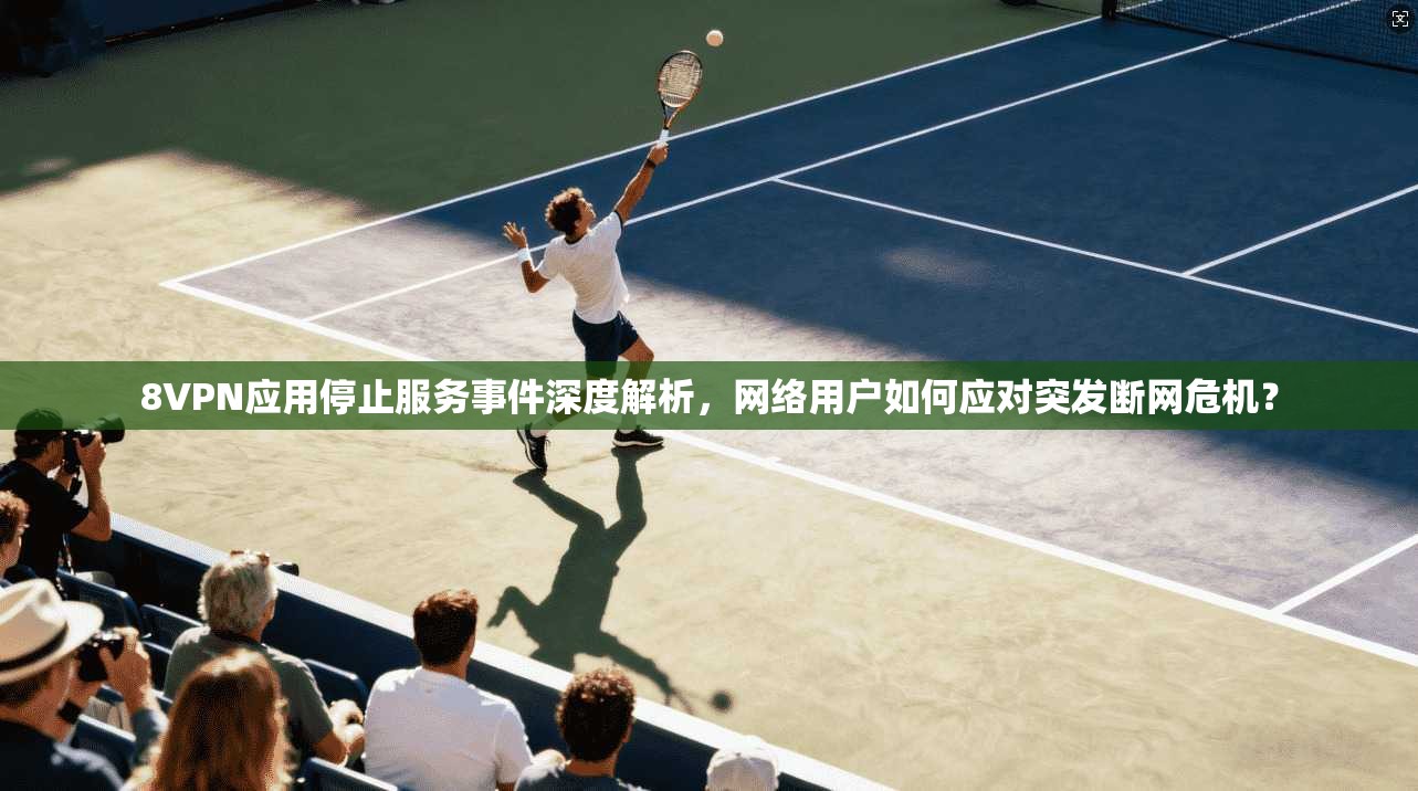 8VPN应用停止服务事件深度解析，网络用户如何应对突发断网危机？