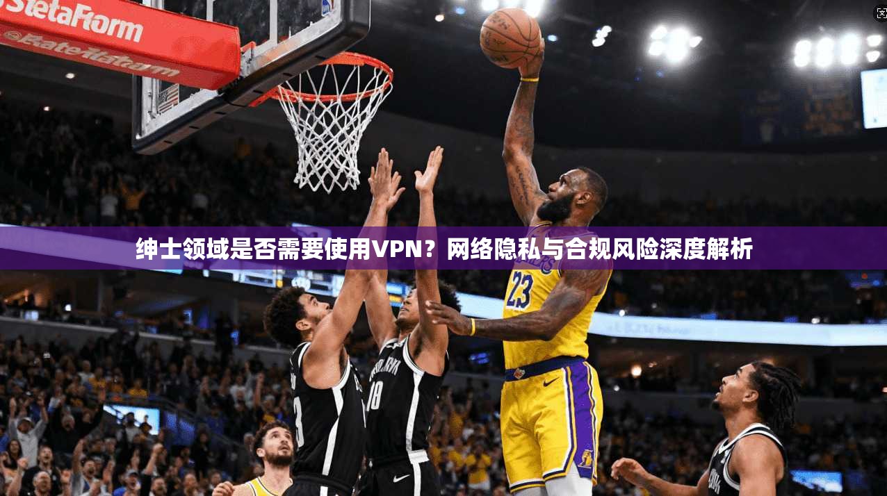 绅士领域是否需要使用VPN?网络隐私与合规风险深度解析 绅士领域是否需要使用VPN?网络隐私与合规风险深度解析