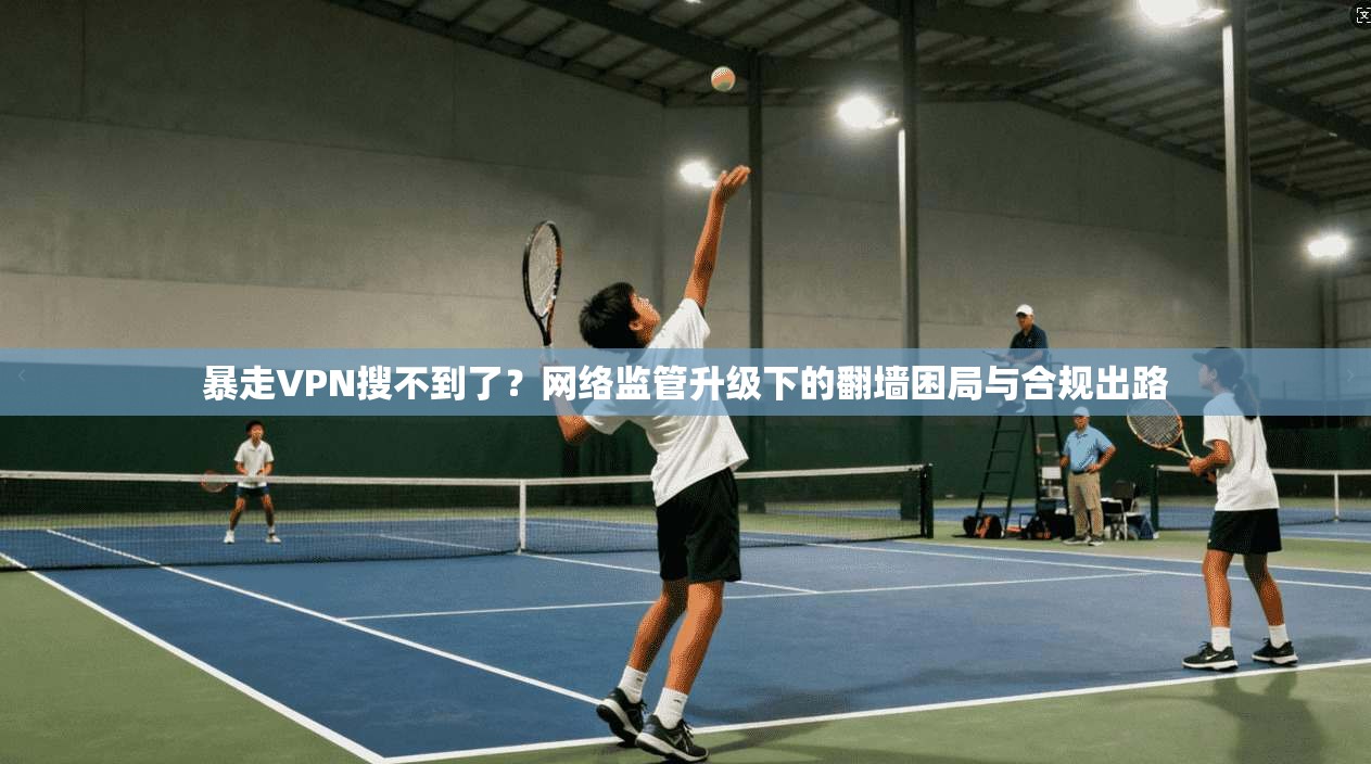 暴走VPN搜不到了?网络监管升级下的翻墙困局与合规出路 暴走VPN搜不到了?网络监管升级下的翻墙困局与合规出路