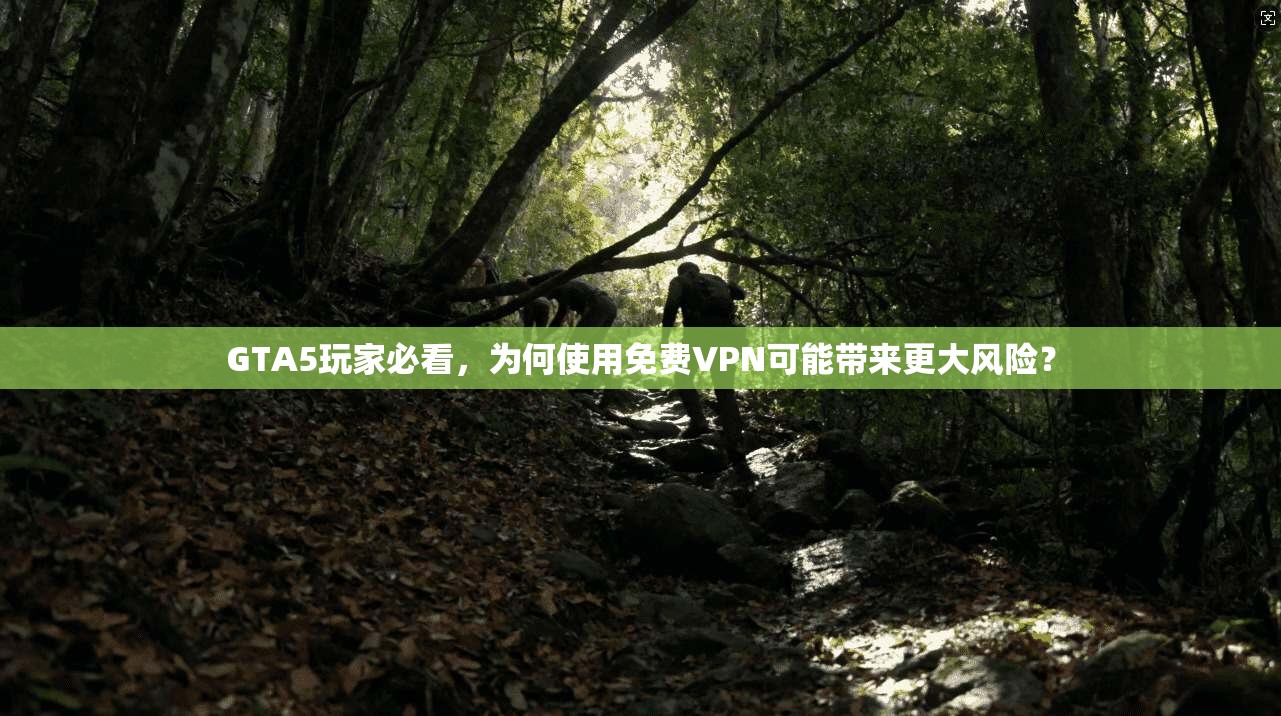 GTA5玩家必看，为何使用免费VPN可能带来更大风险？