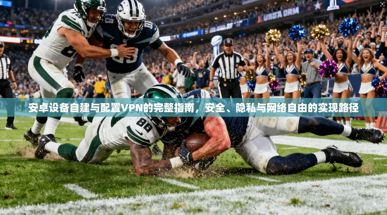 安卓设备自建与配置VPN的完整指南，安全、隐私与网络自由的实现路径