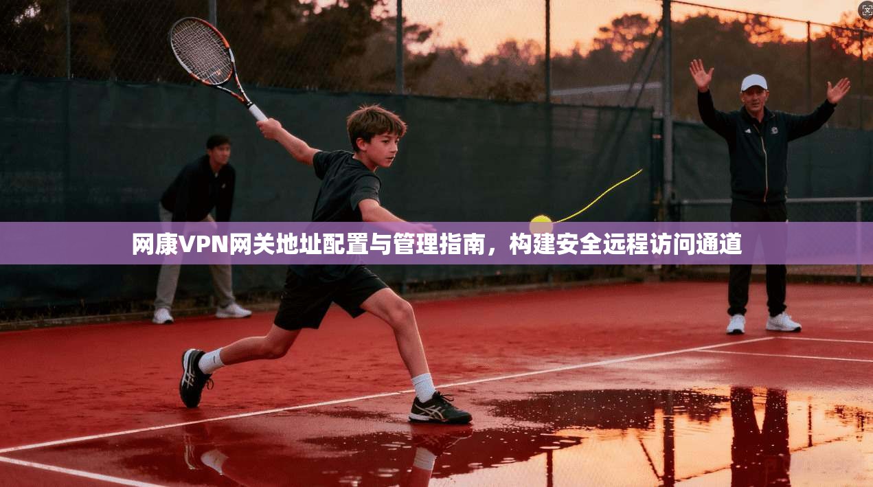 网康VPN网关地址配置与管理指南，构建安全远程访问通道