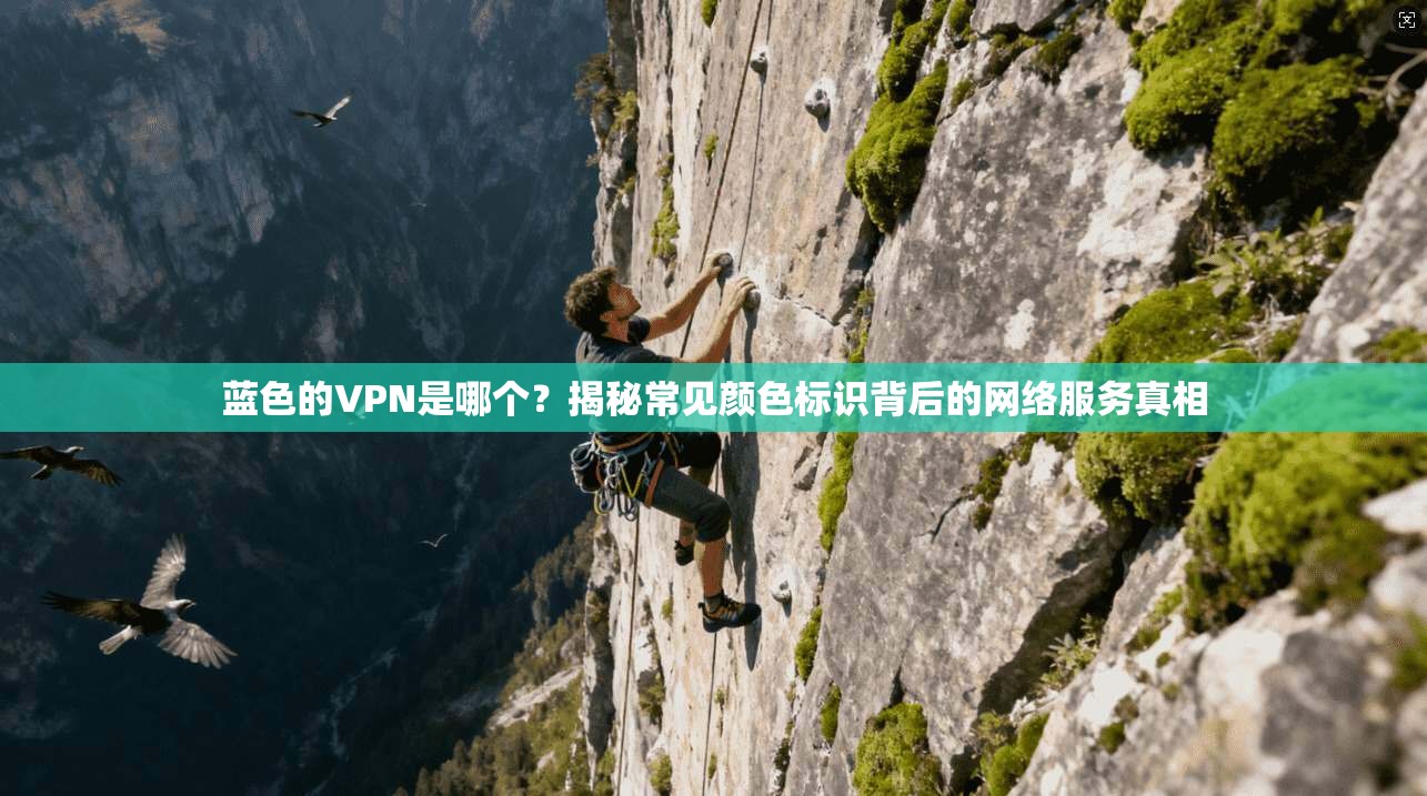 蓝色的VPN是哪个?揭秘常见颜色标识背后的网络服务真相 蓝色的VPN是哪个?揭秘常见颜色标识背后的网络服务真相