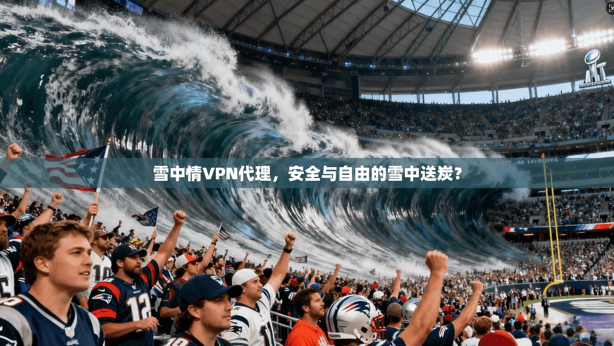 雪中情VPN代理，安全与自由的雪中送炭？