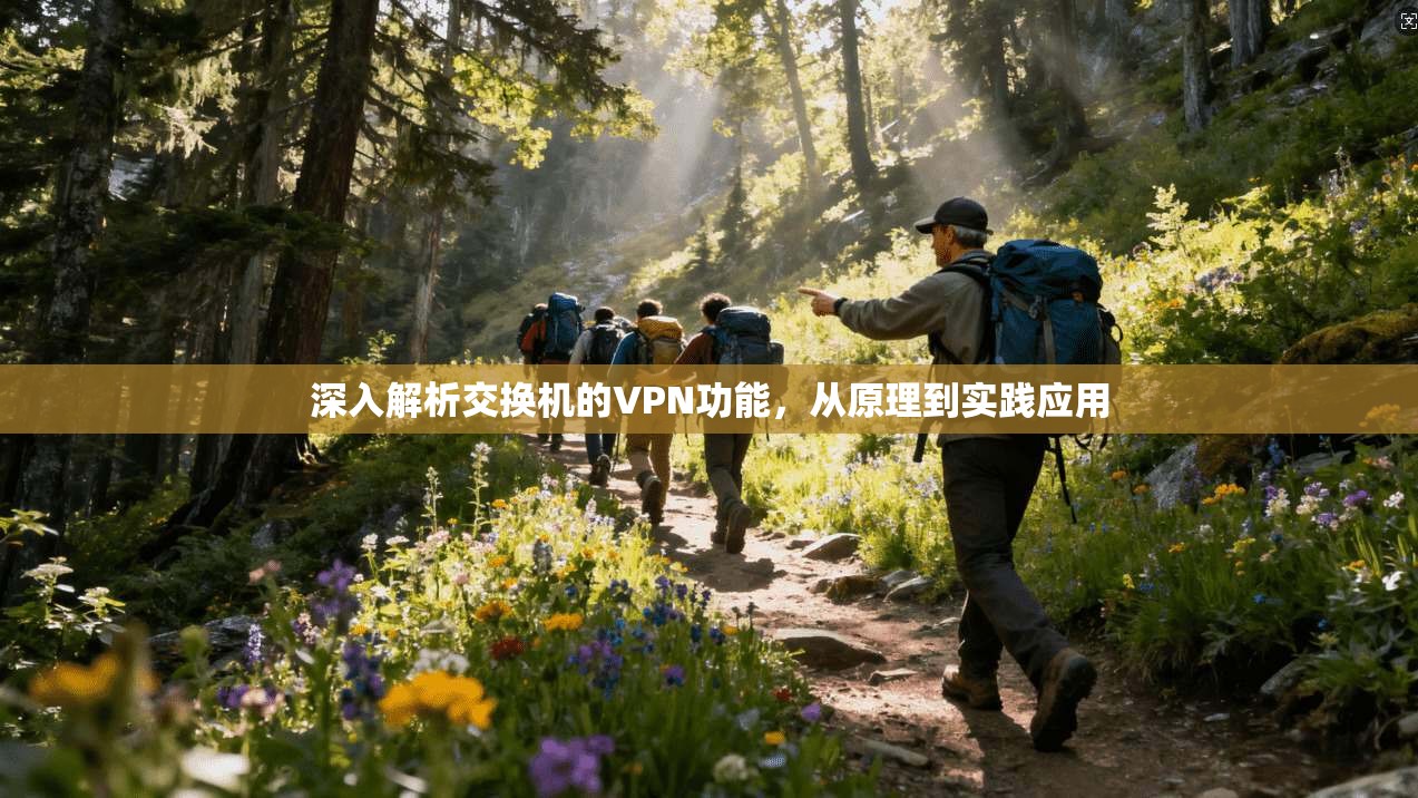 深入解析交换机的VPN功能，从原理到实践应用