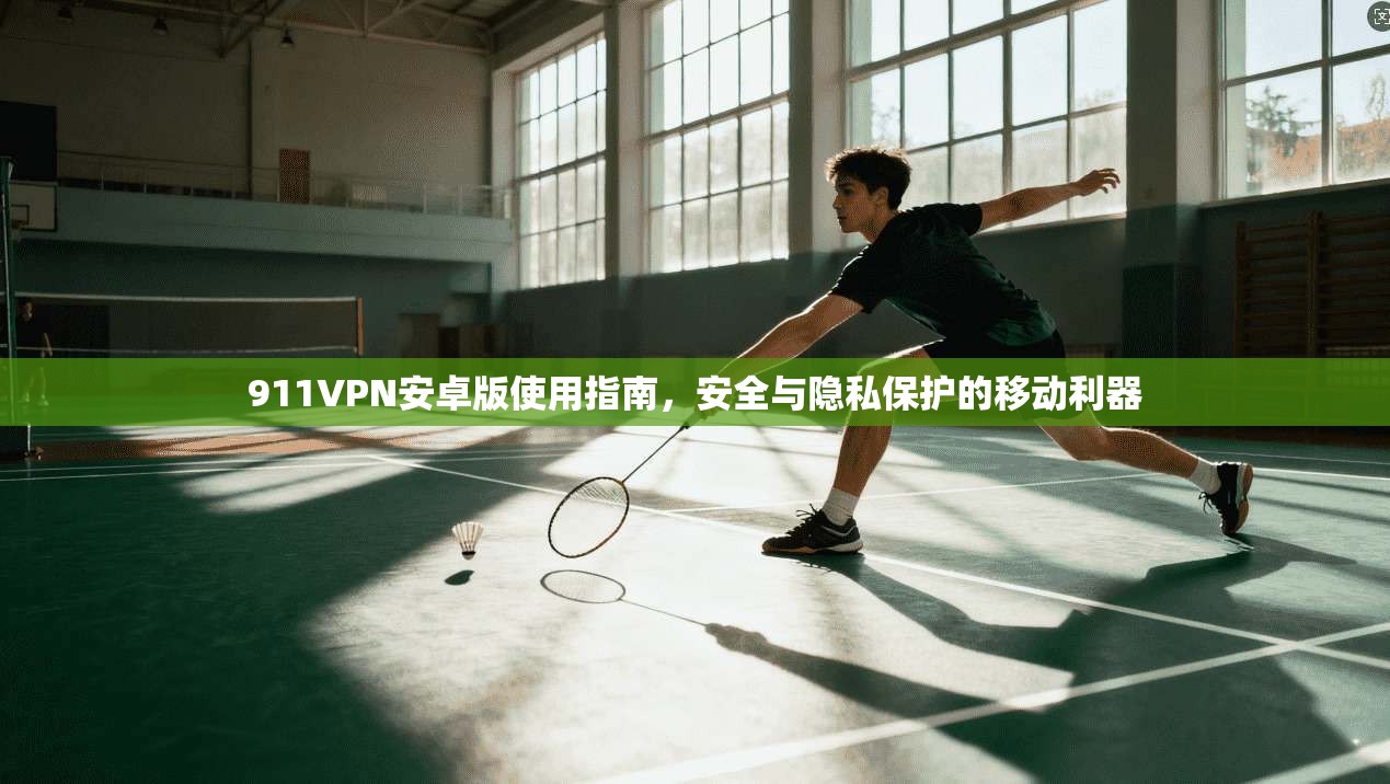 911VPN安卓版使用指南，安全与隐私保护的移动利器