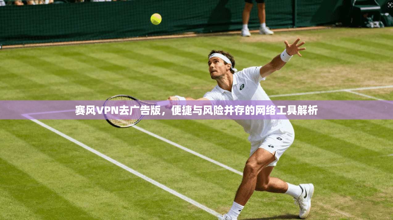 赛风VPN去广告版，便捷与风险并存的网络工具解析