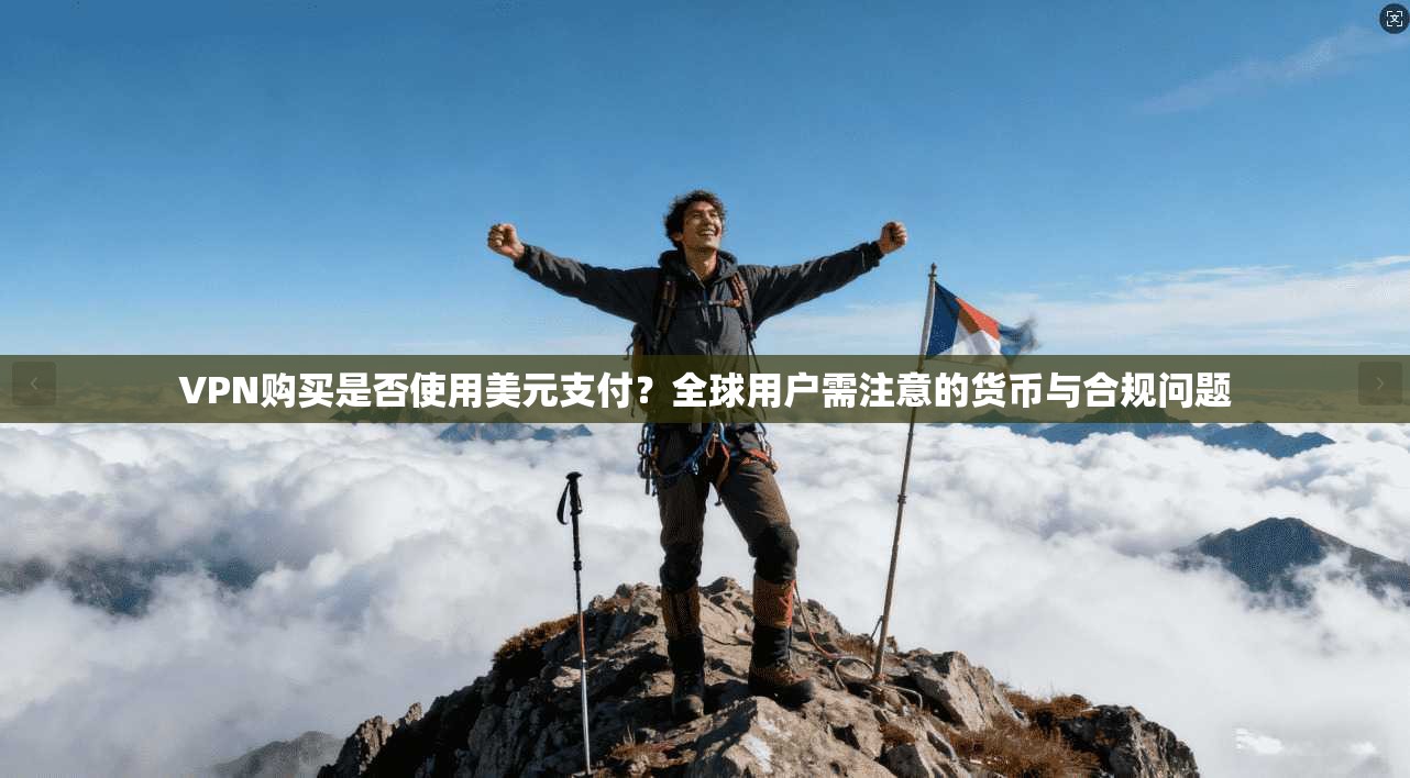 VPN购买是否使用美元支付？全球用户需注意的货币与合规问题