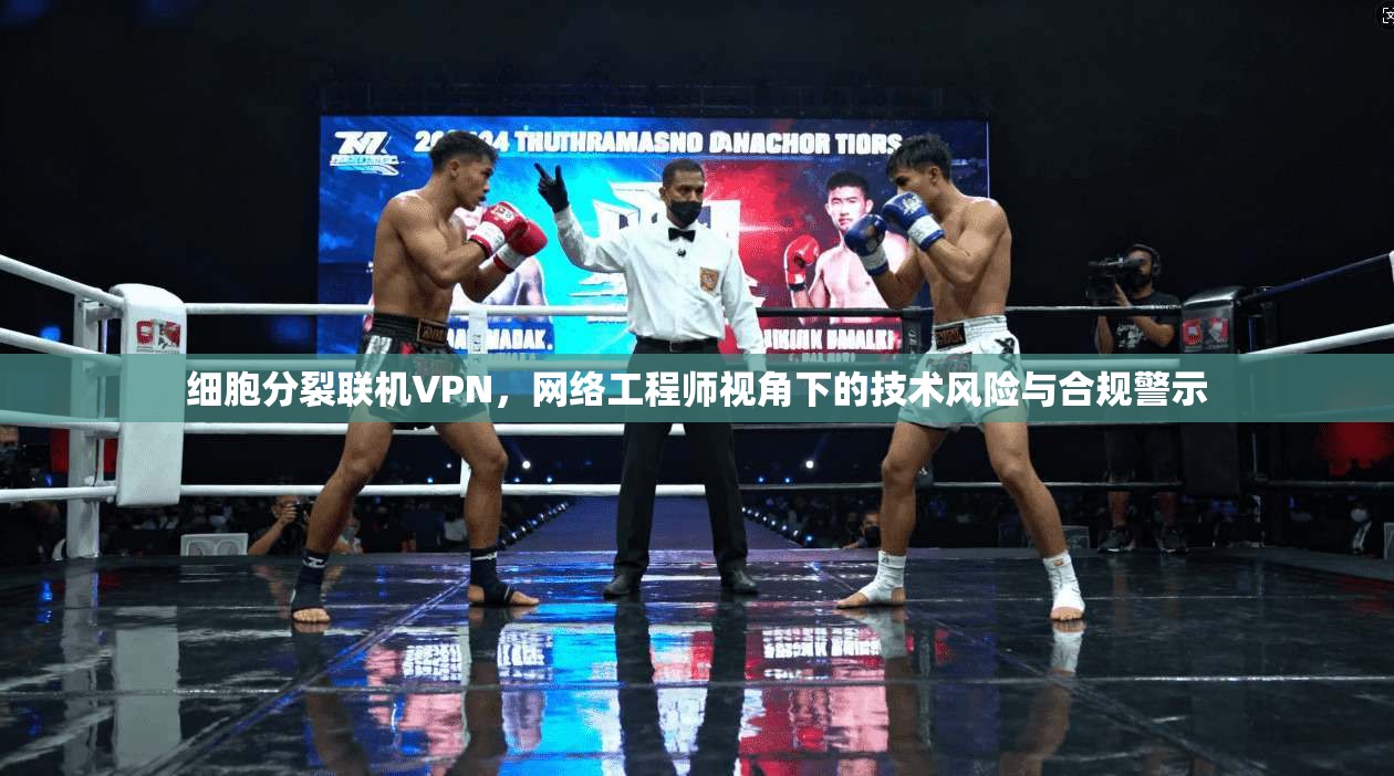 细胞分裂联机VPN，网络工程师视角下的技术风险与合规警示