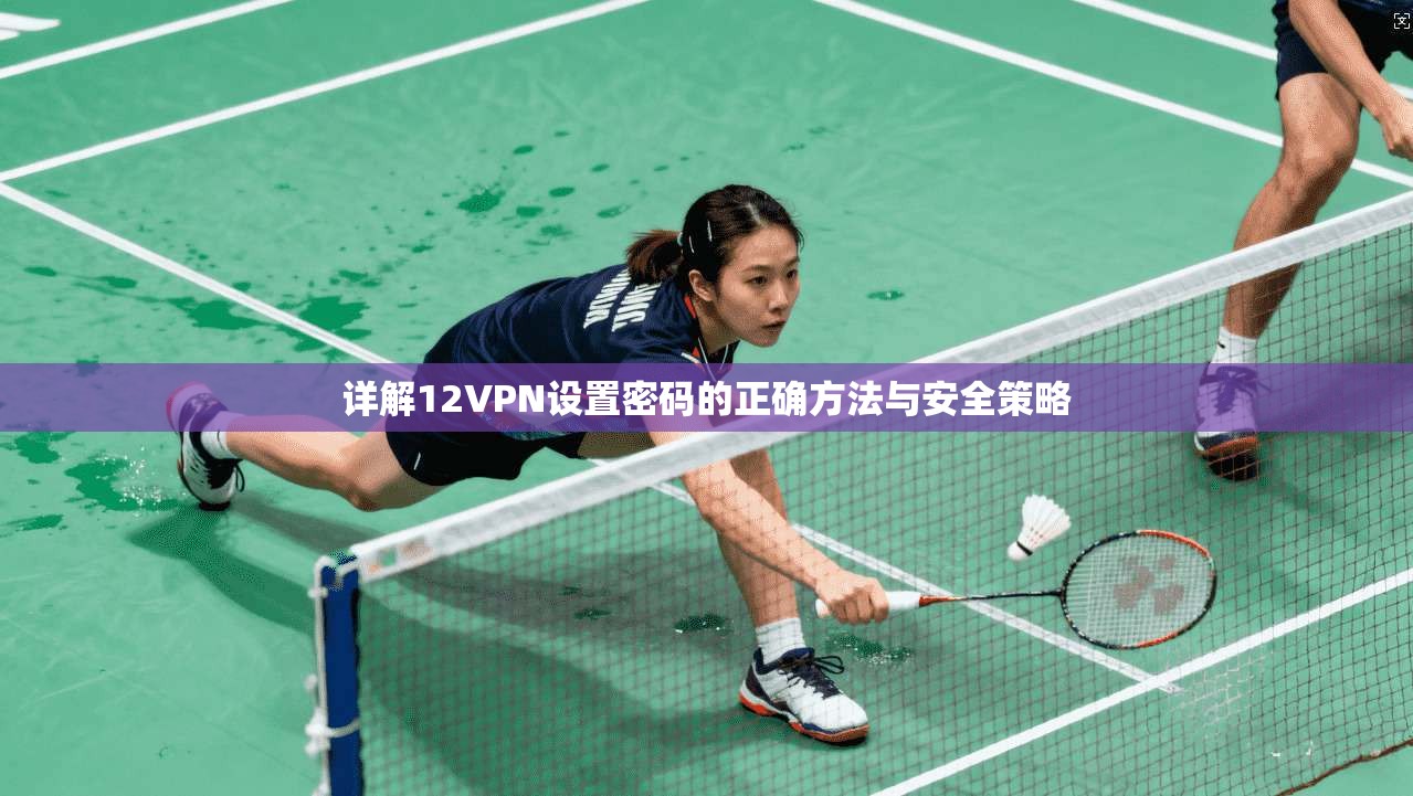 详解12VPN设置密码的正确方法与安全策略