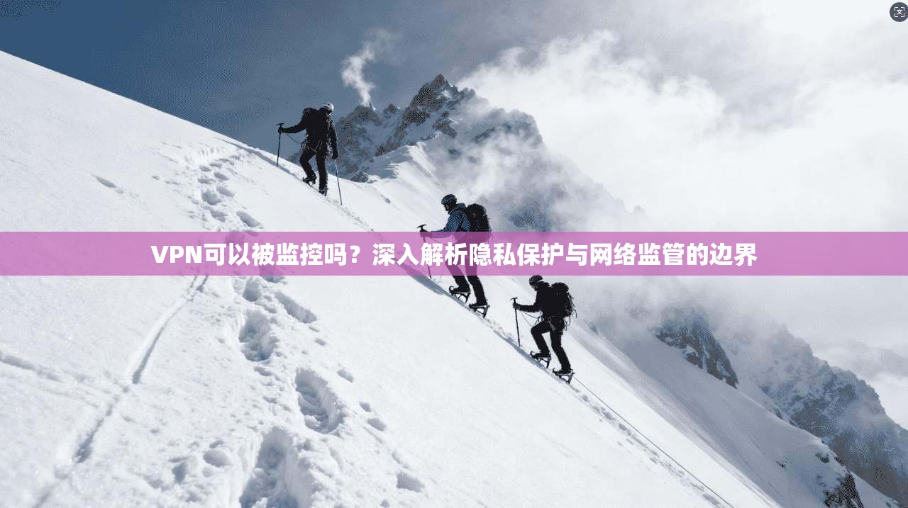 VPN可以被监控吗？深入解析隐私保护与网络监管的边界