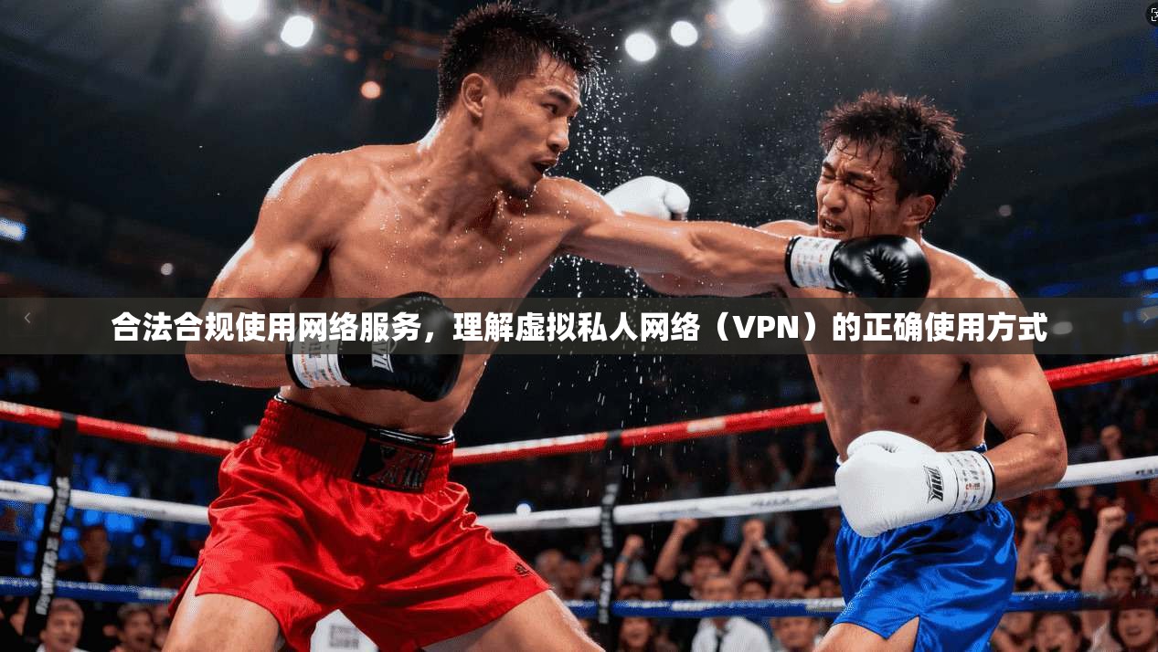 合法合规使用网络服务，理解虚拟私人网络（VPN）的正确使用方式