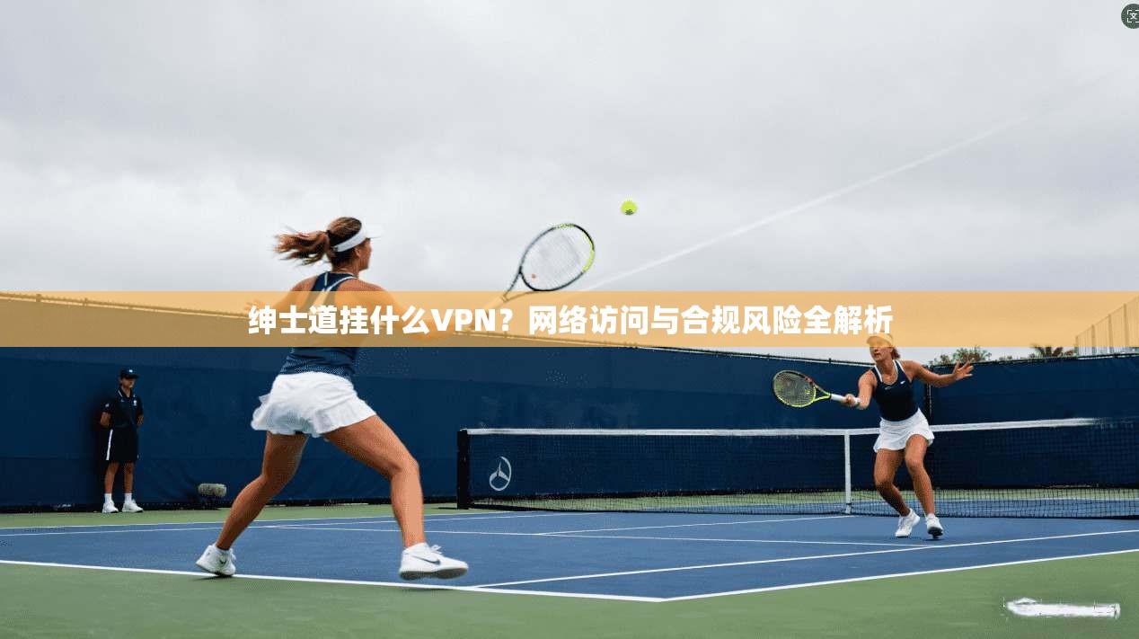 绅士道挂什么VPN？网络访问与合规风险全解析