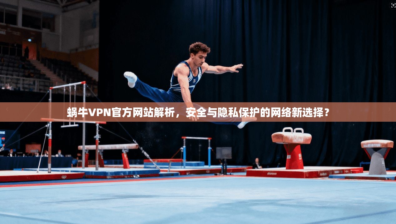 蜗牛VPN官方网站解析,安全与隐私保护的网络新选择? 蜗牛VPN官方网站解析,安全与隐私保护的网络新选择?