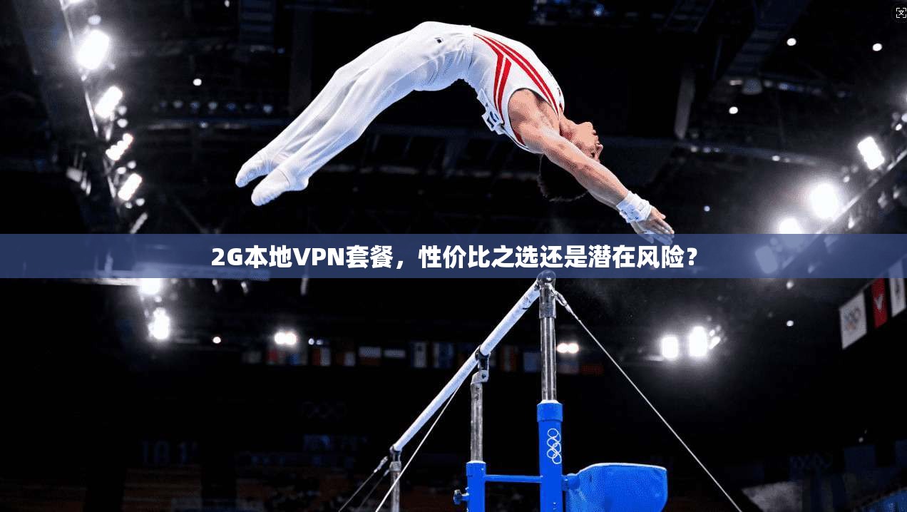 2G本地VPN套餐，性价比之选还是潜在风险？