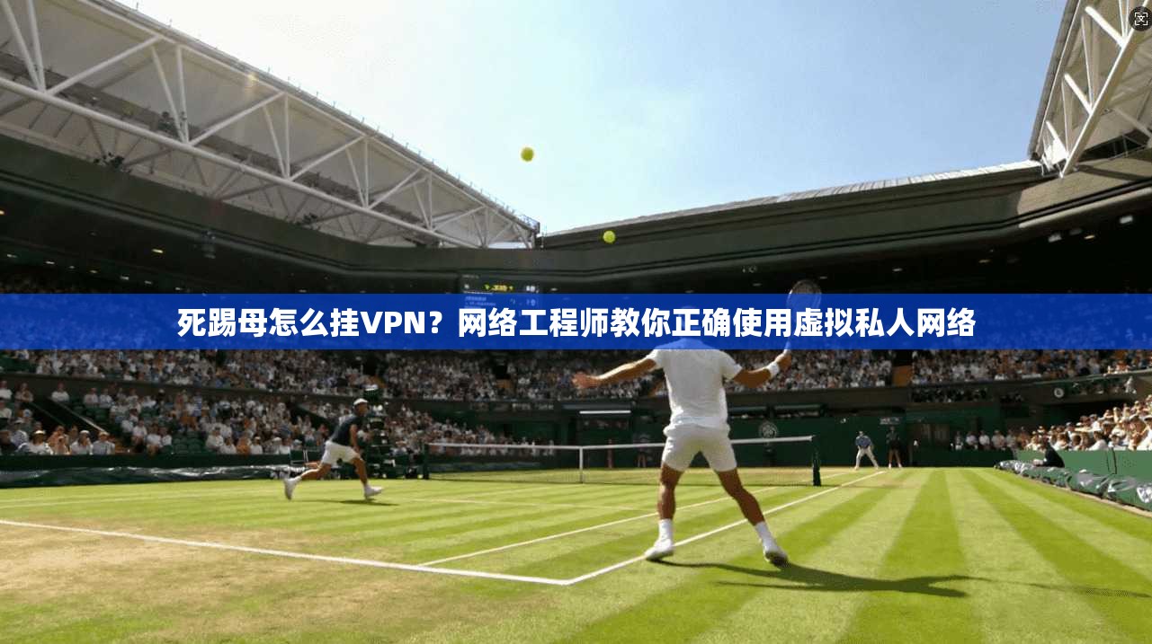 死踢母怎么挂VPN？网络工程师教你正确使用虚拟私人网络