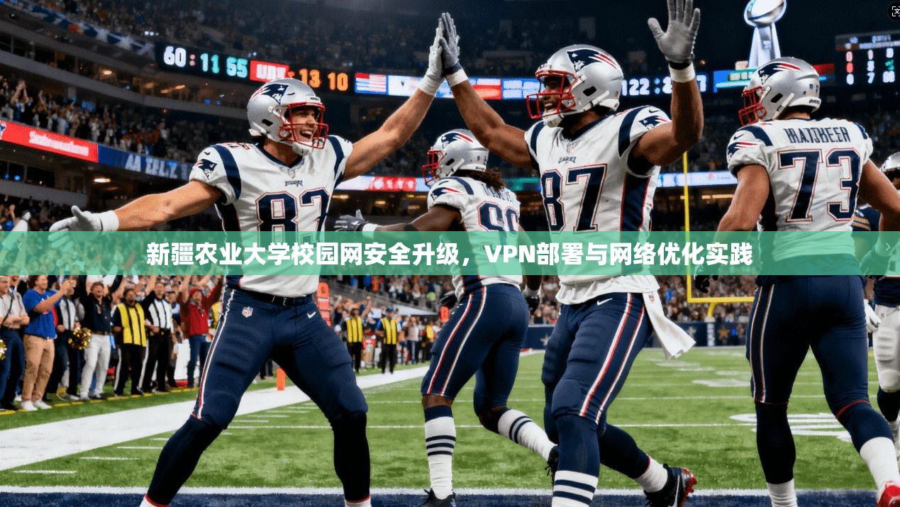 新疆农业大学校园网安全升级,VPN部署与网络优化实践 新疆农业大学校园网安全升级,VPN部署与网络优化实践