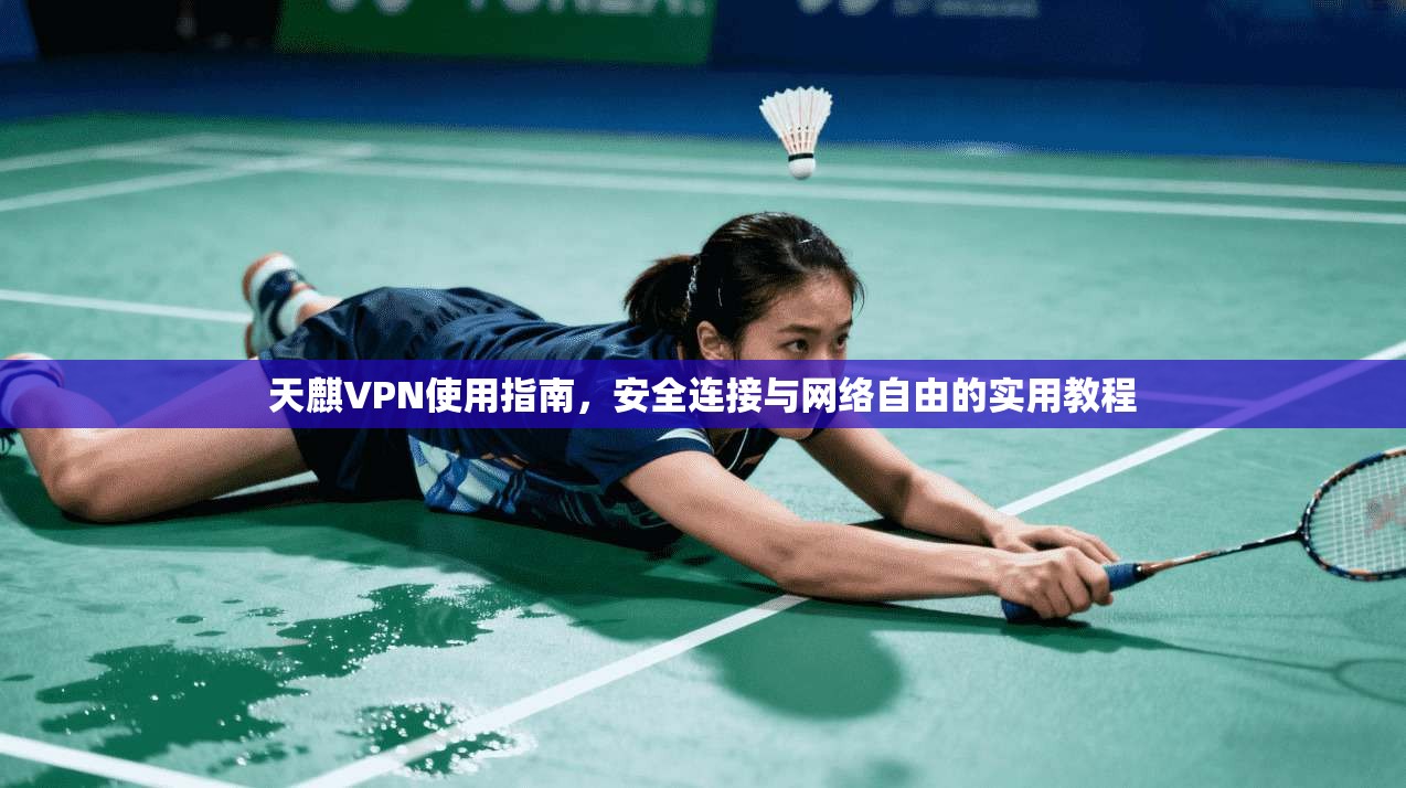 天麒VPN使用指南，安全连接与网络自由的实用教程