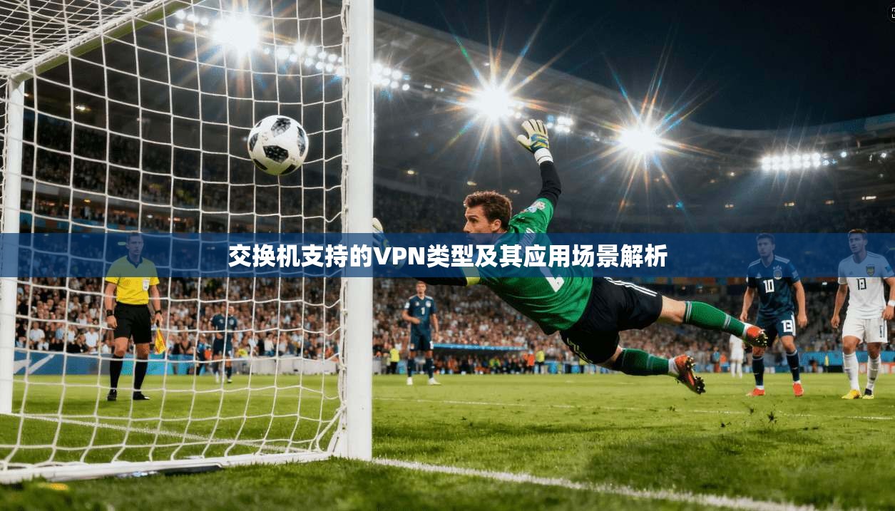 交换机支持的VPN类型及其应用场景解析