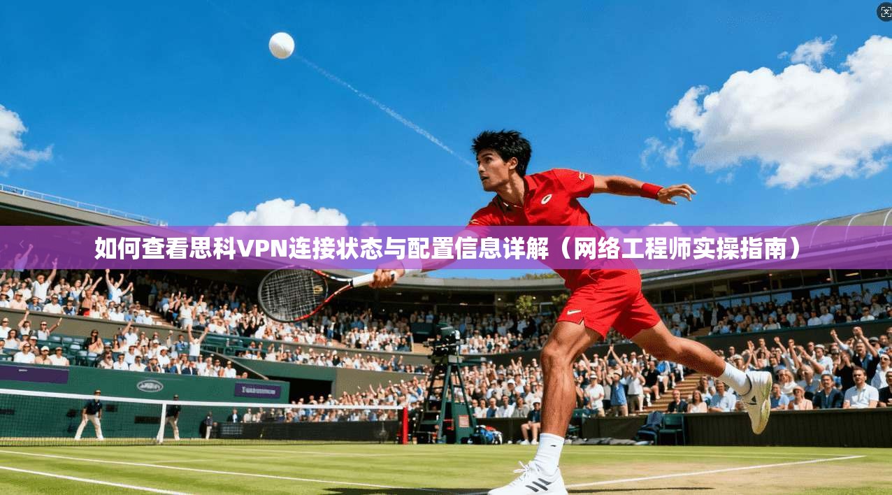 如何查看思科VPN连接状态与配置信息详解（网络工程师实操指南）