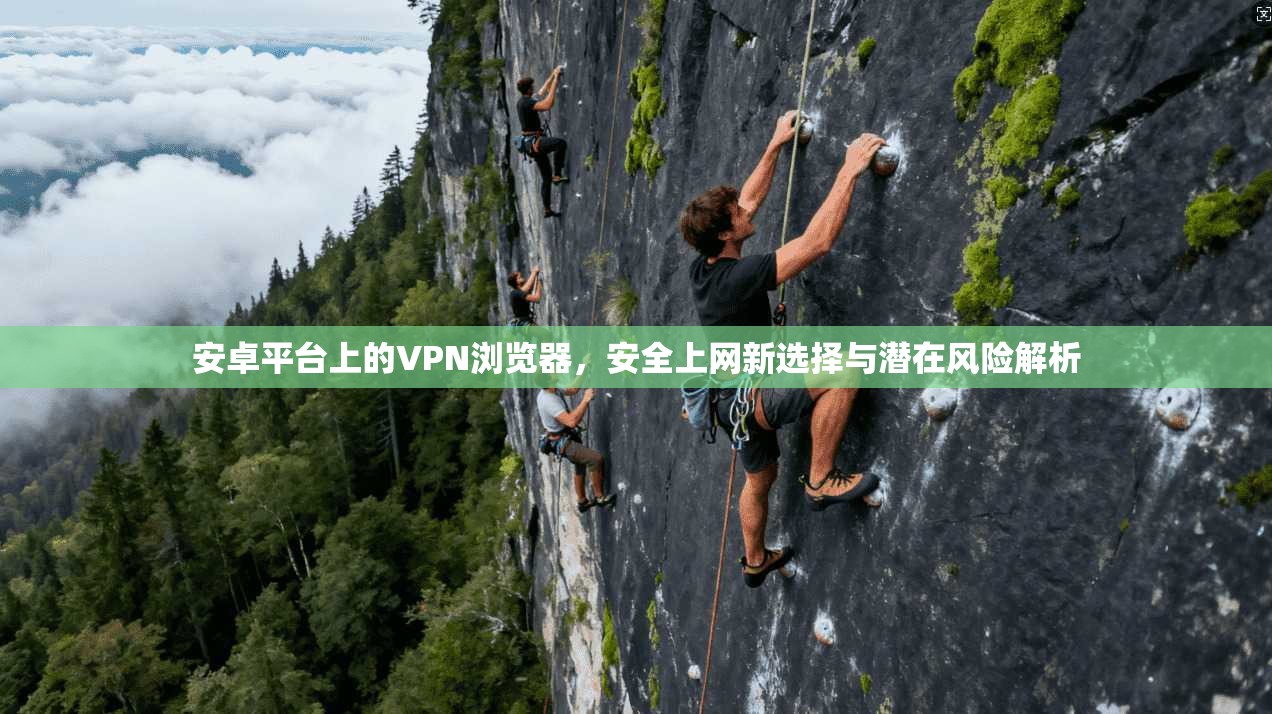 安卓平台上的VPN浏览器，安全上网新选择与潜在风险解析