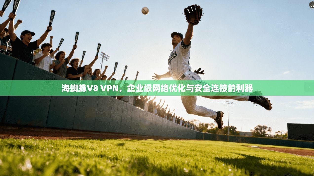 海蜘蛛V8 VPN，企业级网络优化与安全连接的利器