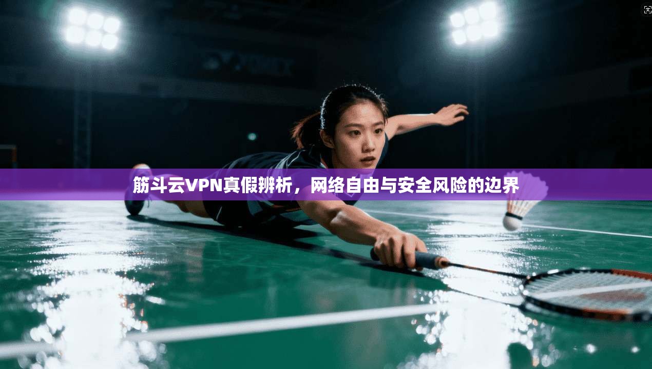 筋斗云VPN真假辨析，网络自由与安全风险的边界