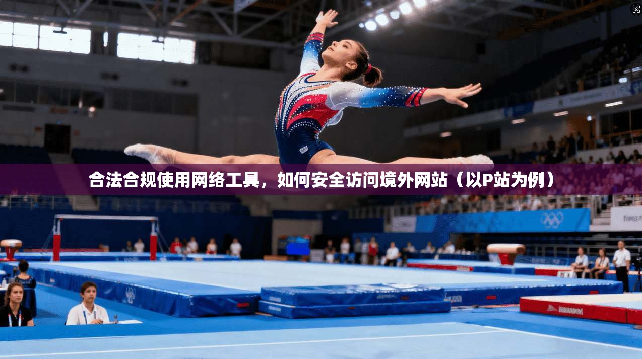 合法合规使用网络工具,如何安全访问境外网站(以P站为例) 合法合规使用网络工具,如何安全访问境外网站(以P站为例)