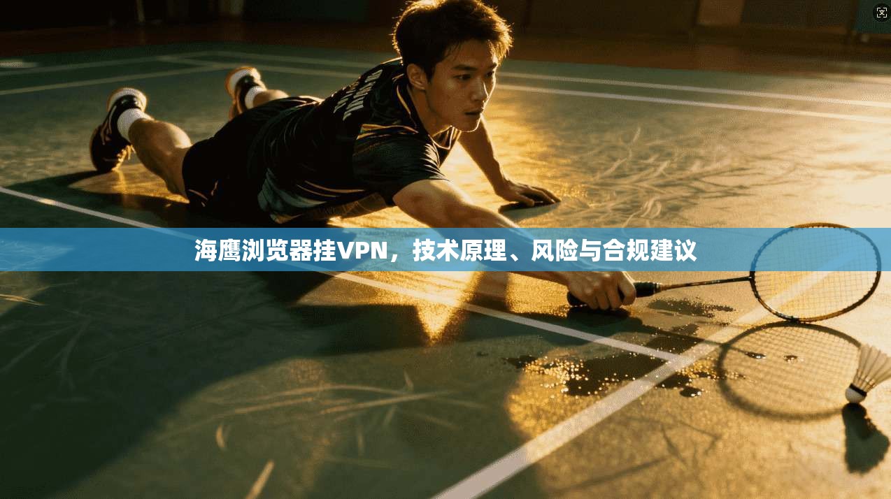 海鹰浏览器挂VPN，技术原理、风险与合规建议
