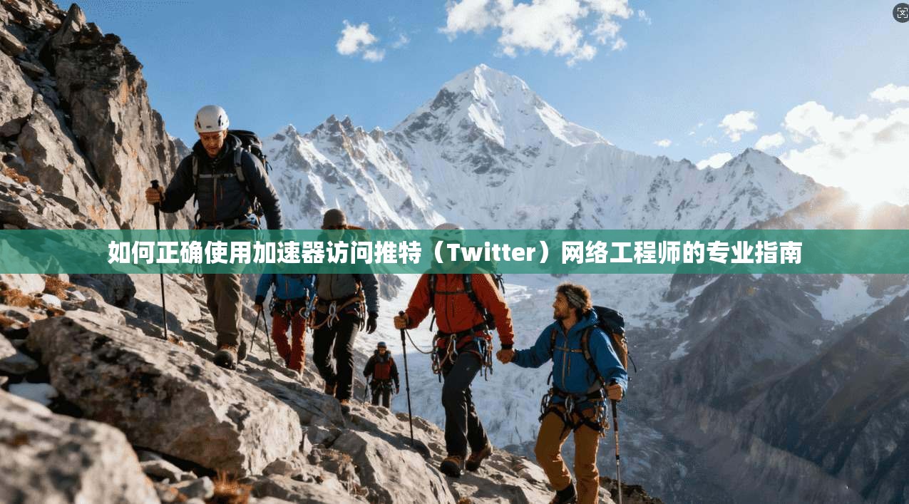 如何正确使用加速器访问推特（Twitter）网络工程师的专业指南