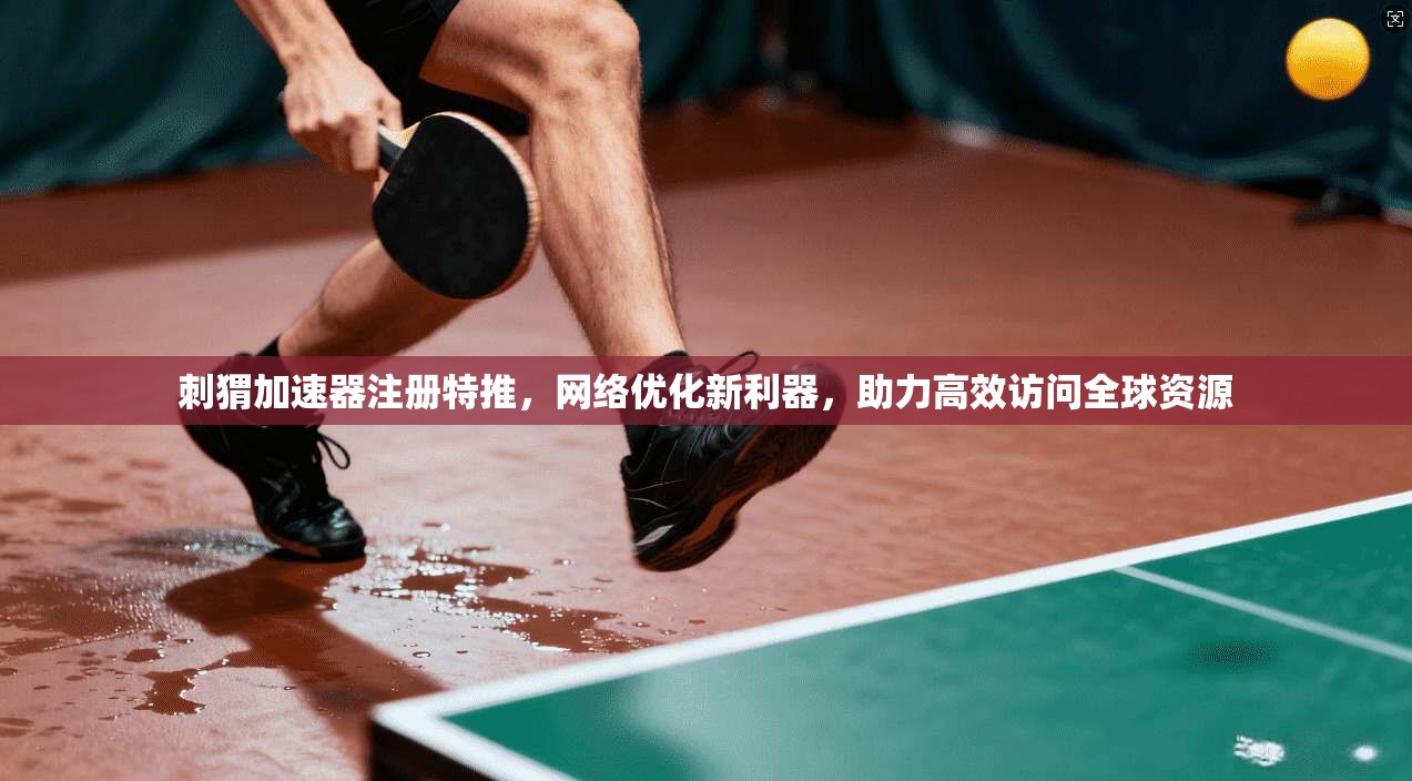 刺猬加速器注册特推,网络优化新利器,助力高效访问全球资源 刺猬加速器注册特推,网络优化新利器,助力高效访问全球资源