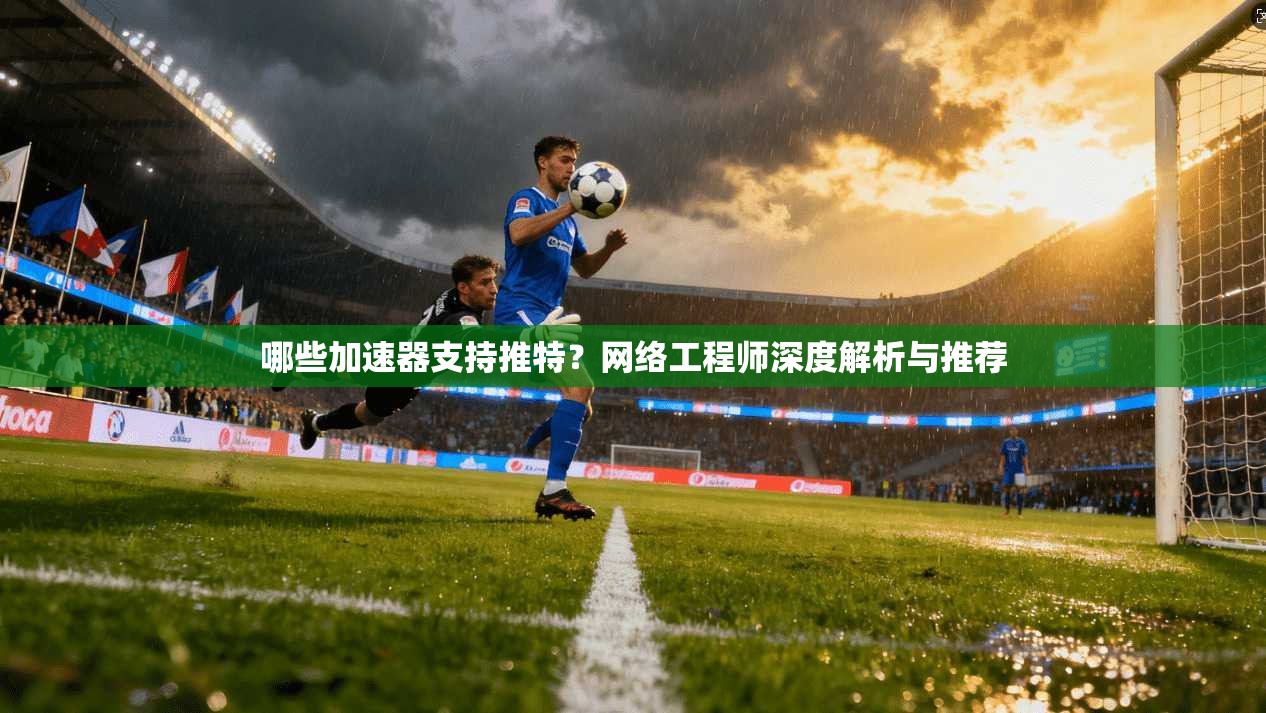 哪些加速器支持推特？网络工程师深度解析与推荐