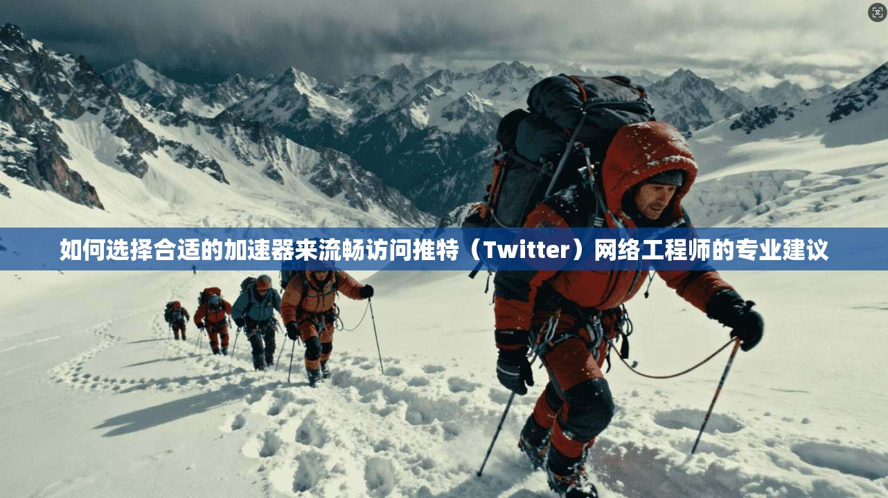 如何选择合适的加速器来流畅访问推特（Twitter）网络工程师的专业建议