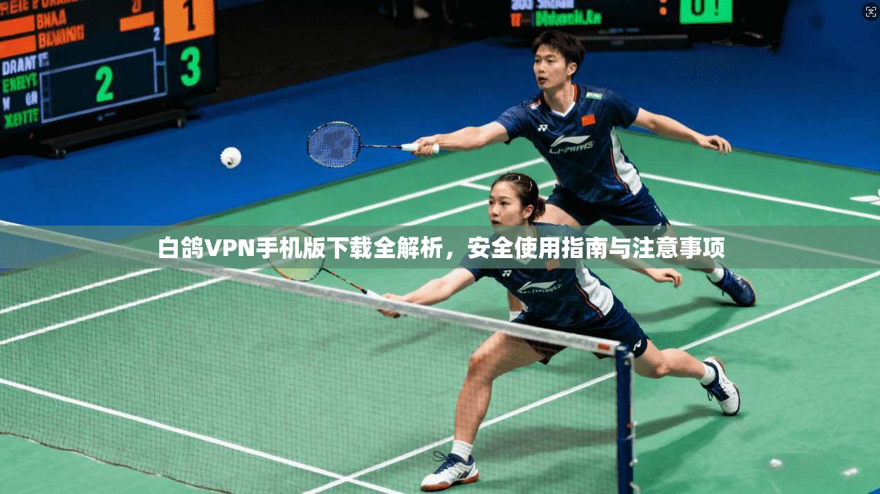 白鸽VPN手机版下载全解析，安全使用指南与注意事项