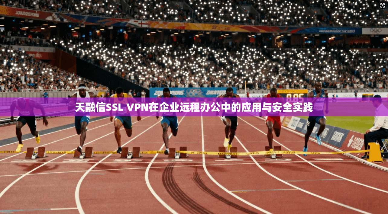 天融信SSL VPN在企业远程办公中的应用与安全实践 天融信SSL VPN在企业远程办公中的应用与安全实践