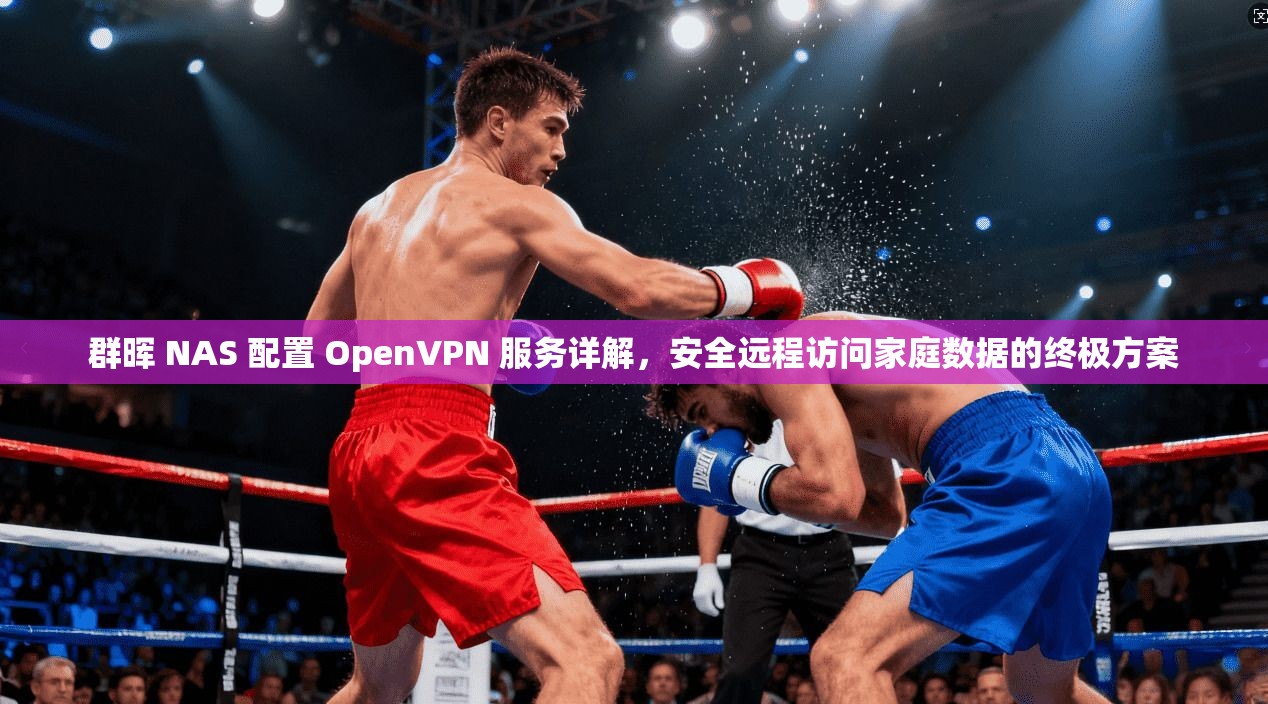 群晖 NAS 配置 OpenVPN 服务详解,安全远程访问家庭数据的终极方案 群晖 NAS 配置 OpenVPN 服务详解,安全远程访问家庭数据的终极方案