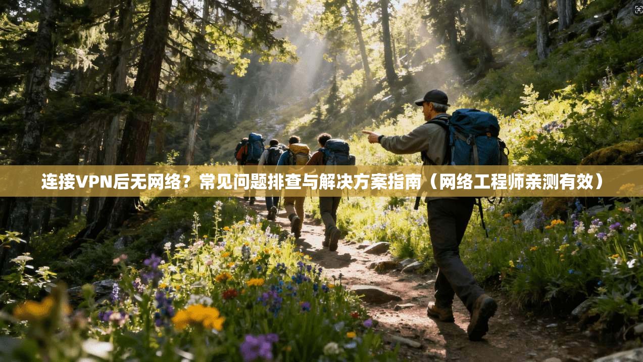连接VPN后无网络?常见问题排查与解决方案指南(网络工程师亲测有效) 连接VPN后无网络?常见问题排查与解决方案指南(网络工程师亲测有效)