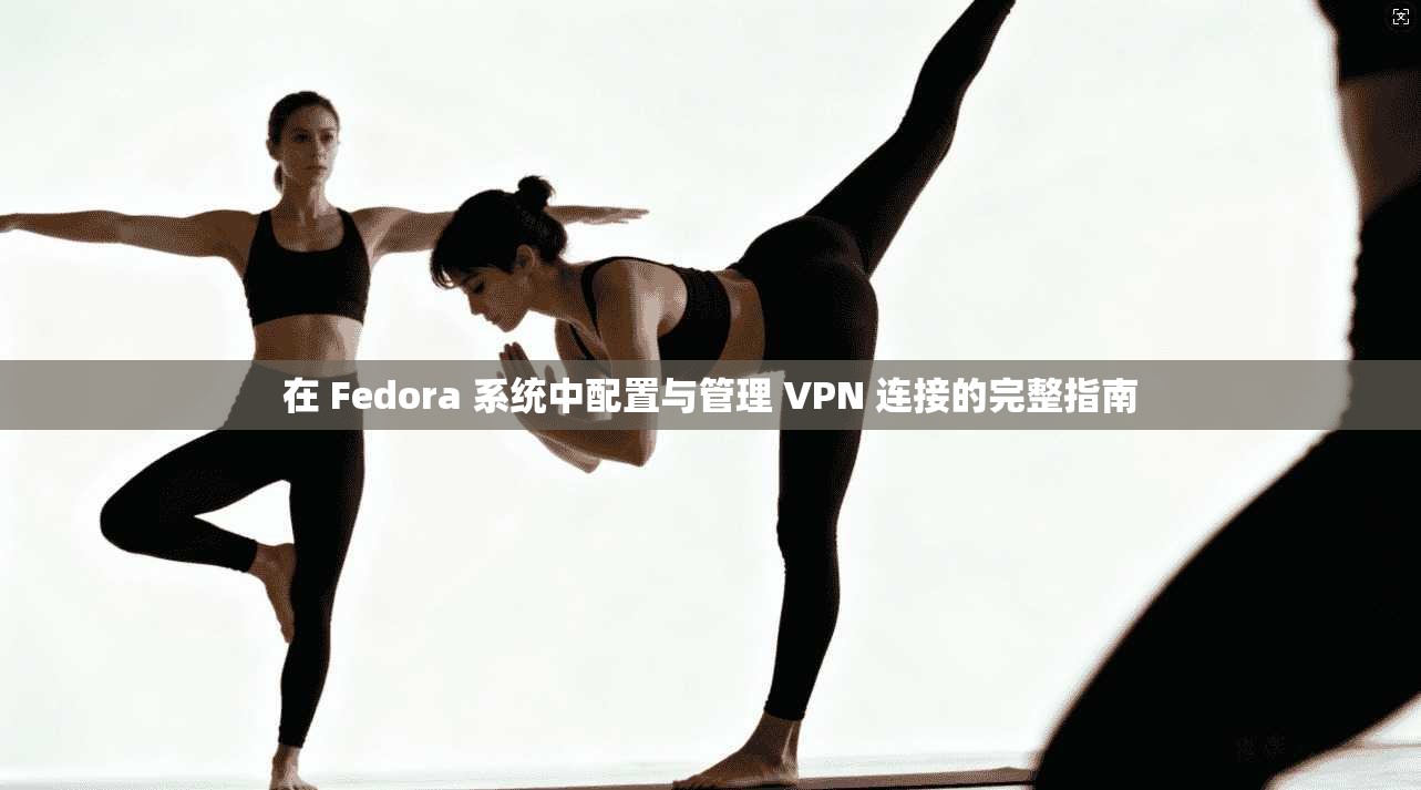 在 Fedora 系统中配置与管理 VPN 连接的完整指南 在 Fedora 系统中配置与管理 VPN 连接的完整指南