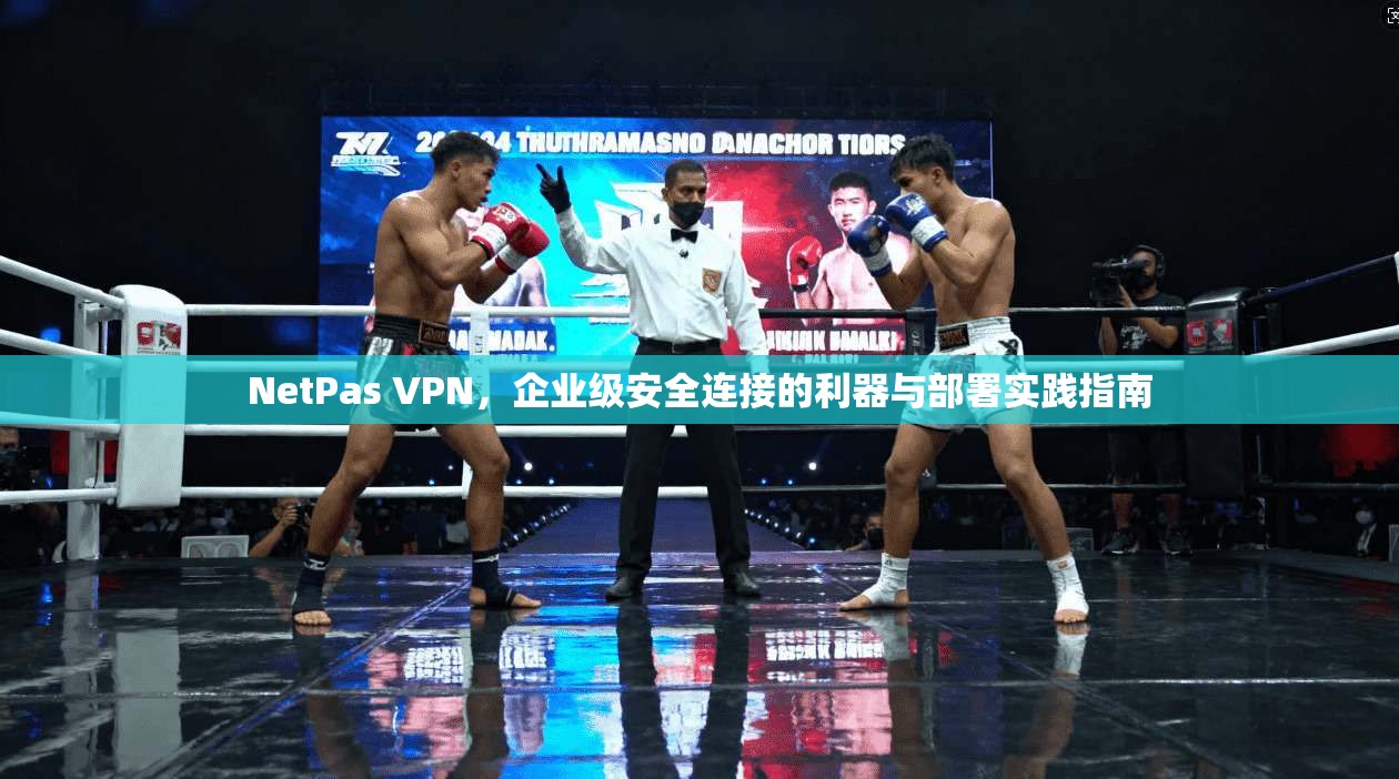 NetPas VPN,企业级安全连接的利器与部署实践指南 NetPas VPN,企业级安全连接的利器与部署实践指南