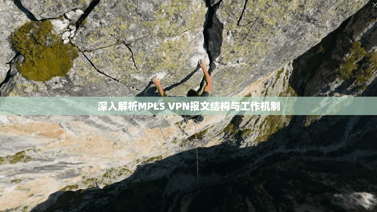 深入解析MPLS VPN报文结构与工作机制