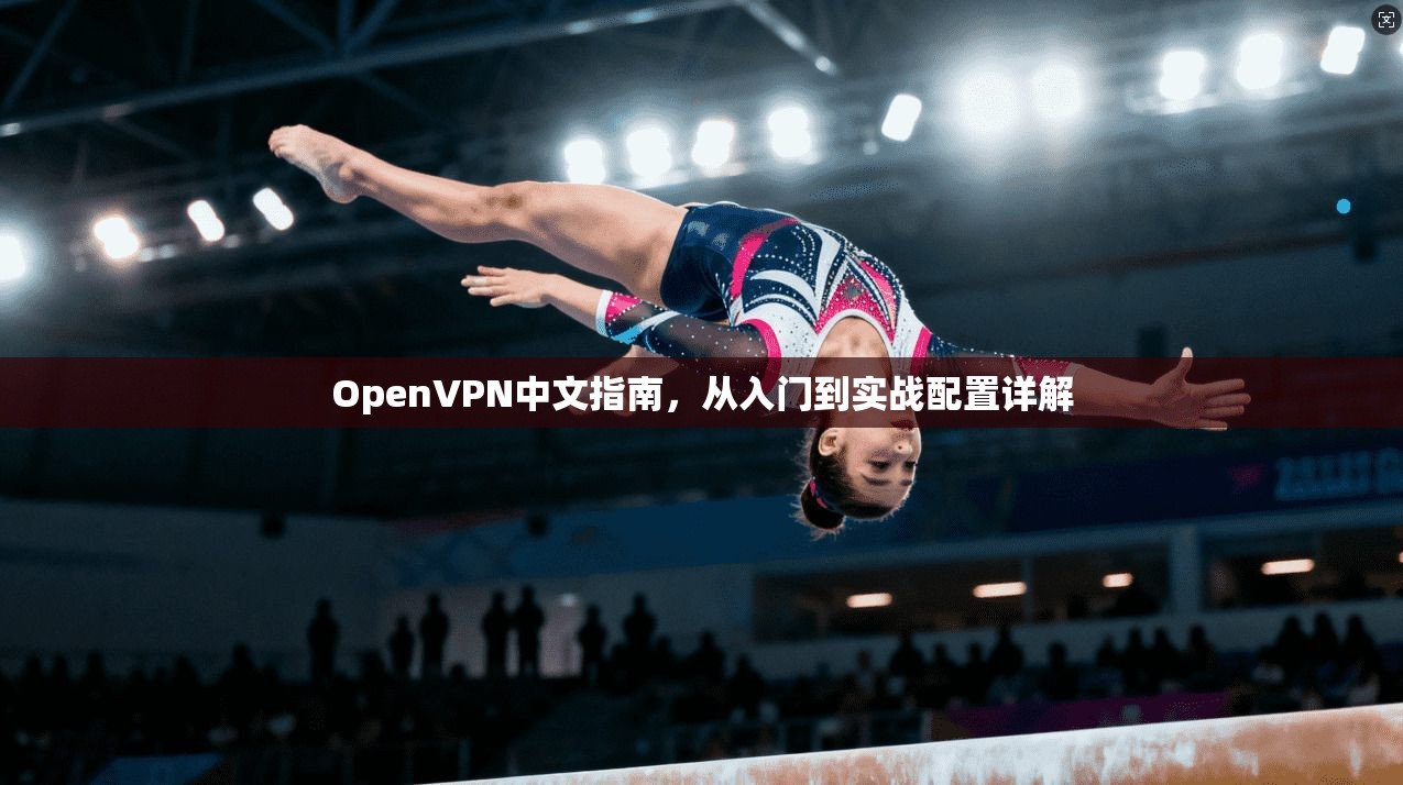 OpenVPN中文指南，从入门到实战配置详解