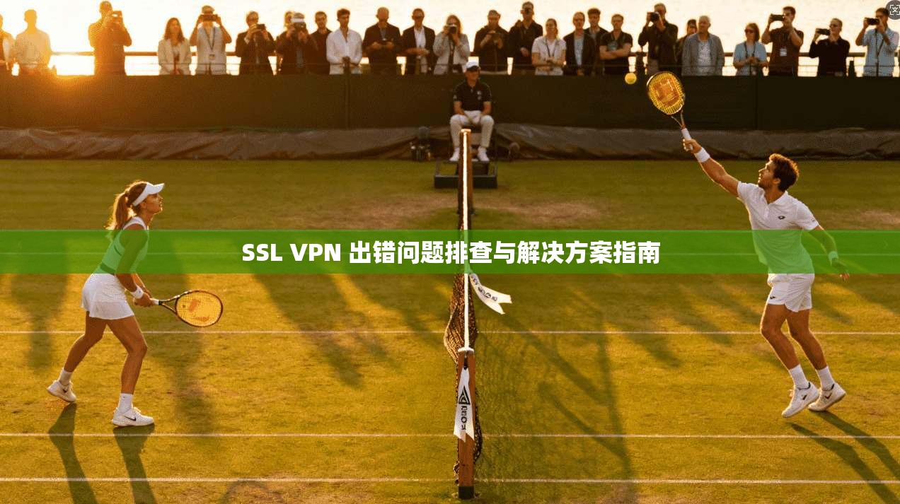 SSL VPN 出错问题排查与解决方案指南
