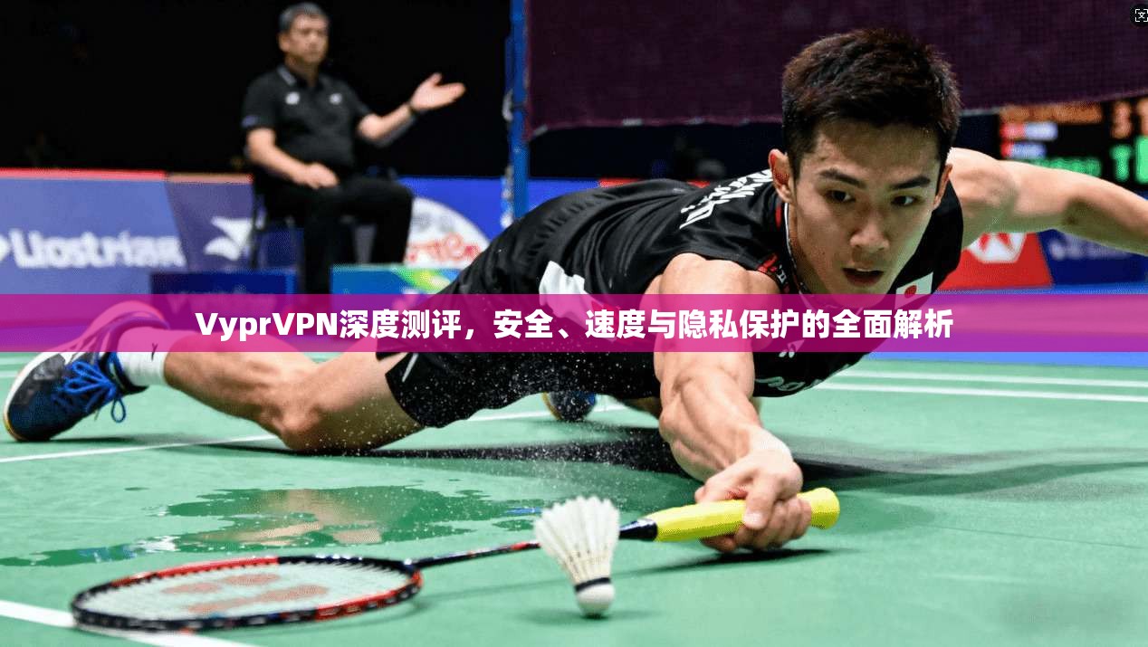 VyprVPN深度测评,安全、速度与隐私保护的全面解析