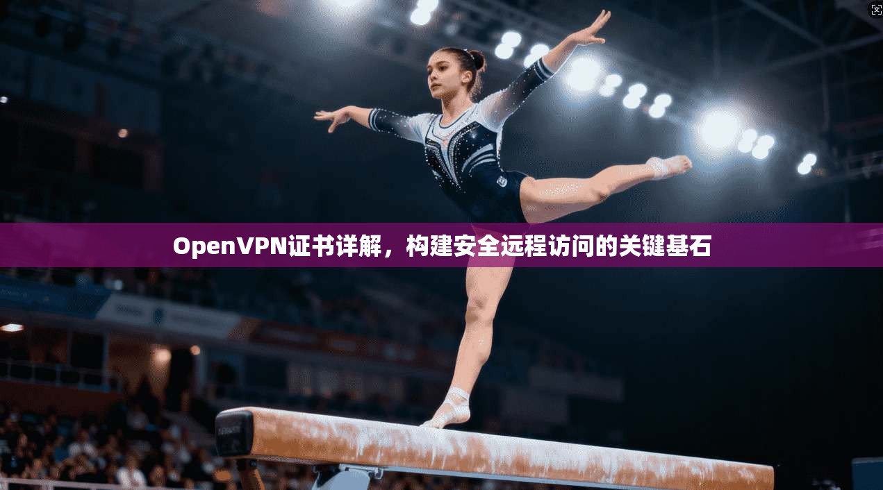 OpenVPN证书详解，构建安全远程访问的关键基石