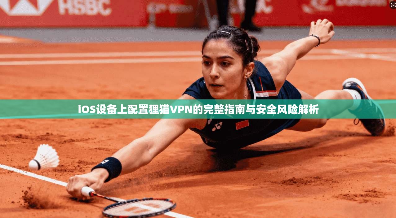 iOS设备上配置狸猫VPN的完整指南与安全风险解析