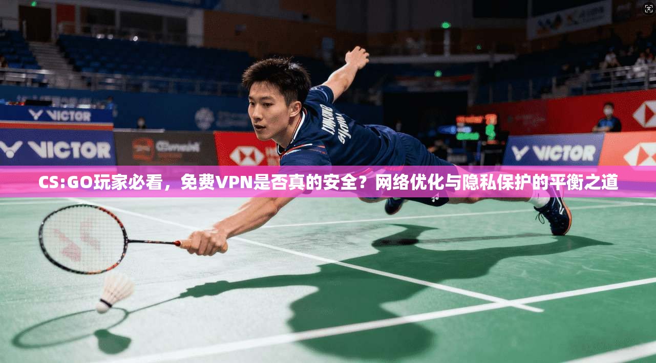 CS:GO玩家必看，免费VPN是否真的安全？网络优化与隐私保护的平衡之道