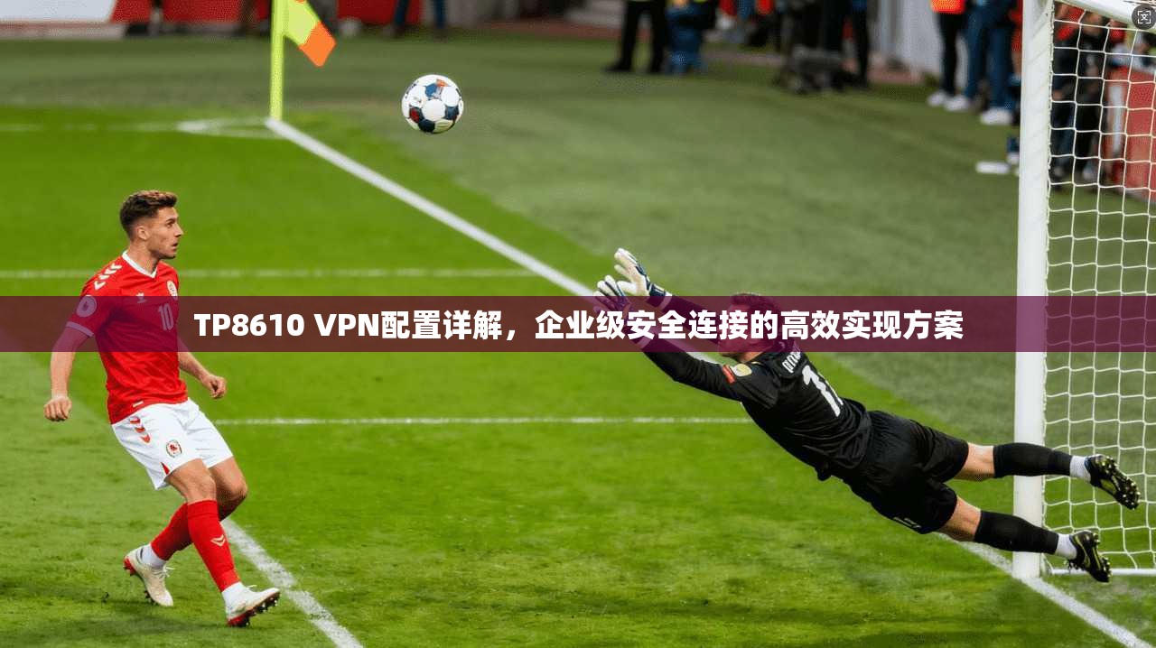 TP8610 VPN配置详解，企业级安全连接的高效实现方案
