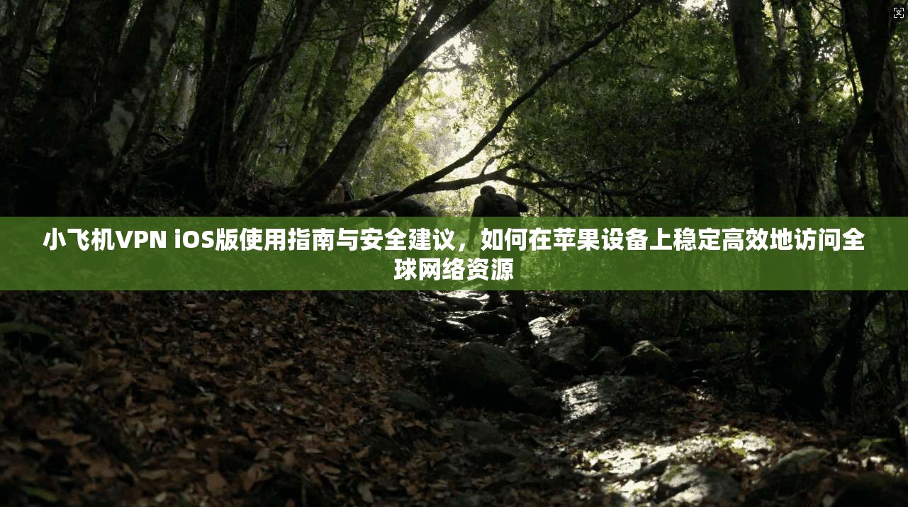 小飞机VPN iOS版使用指南与安全建议,如何在苹果设备上稳定高效地访问全球网络资源
