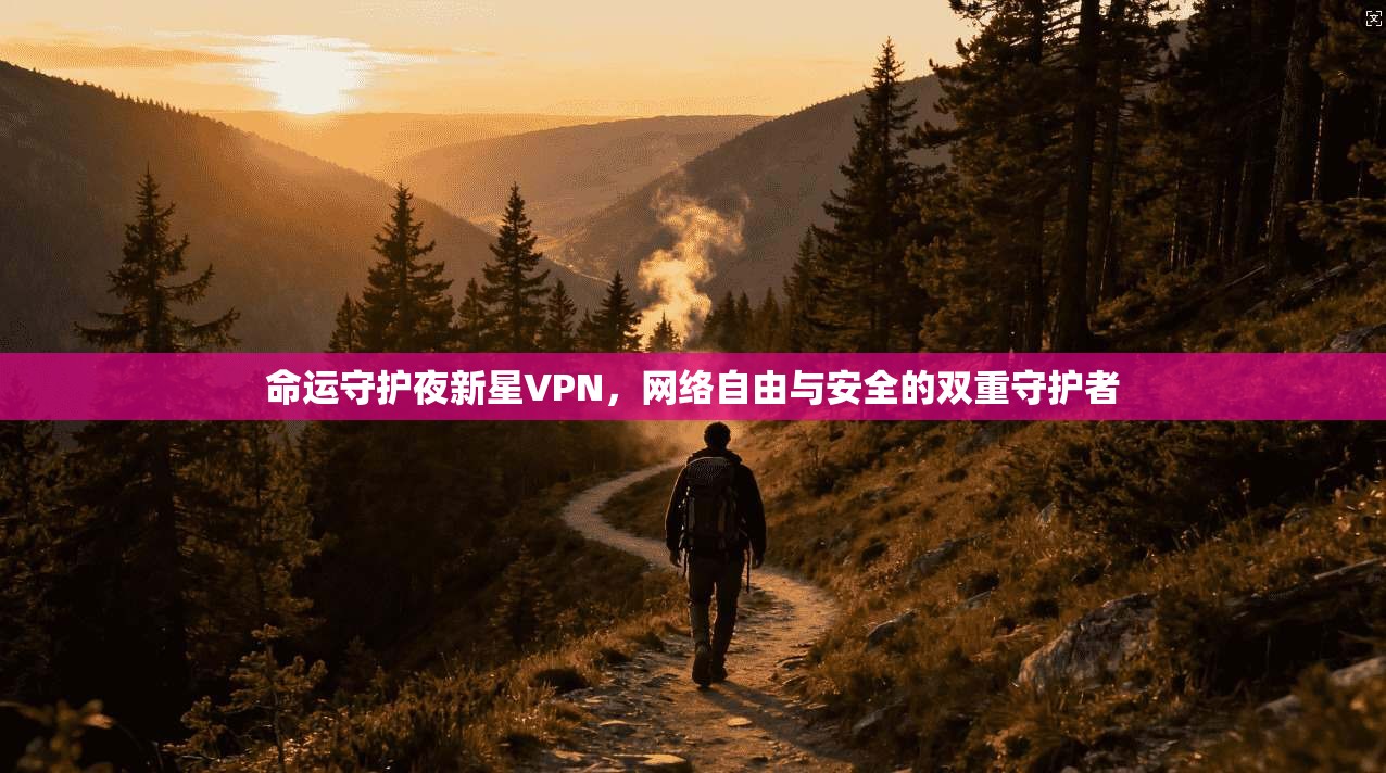 命运守护夜新星VPN，网络自由与安全的双重守护者
